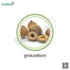 สมอพิเภก