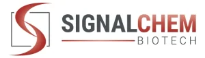 Scidict Plus  Signalchem_biotech@Scidict-Plus-1-300x86 Scidict Plus  